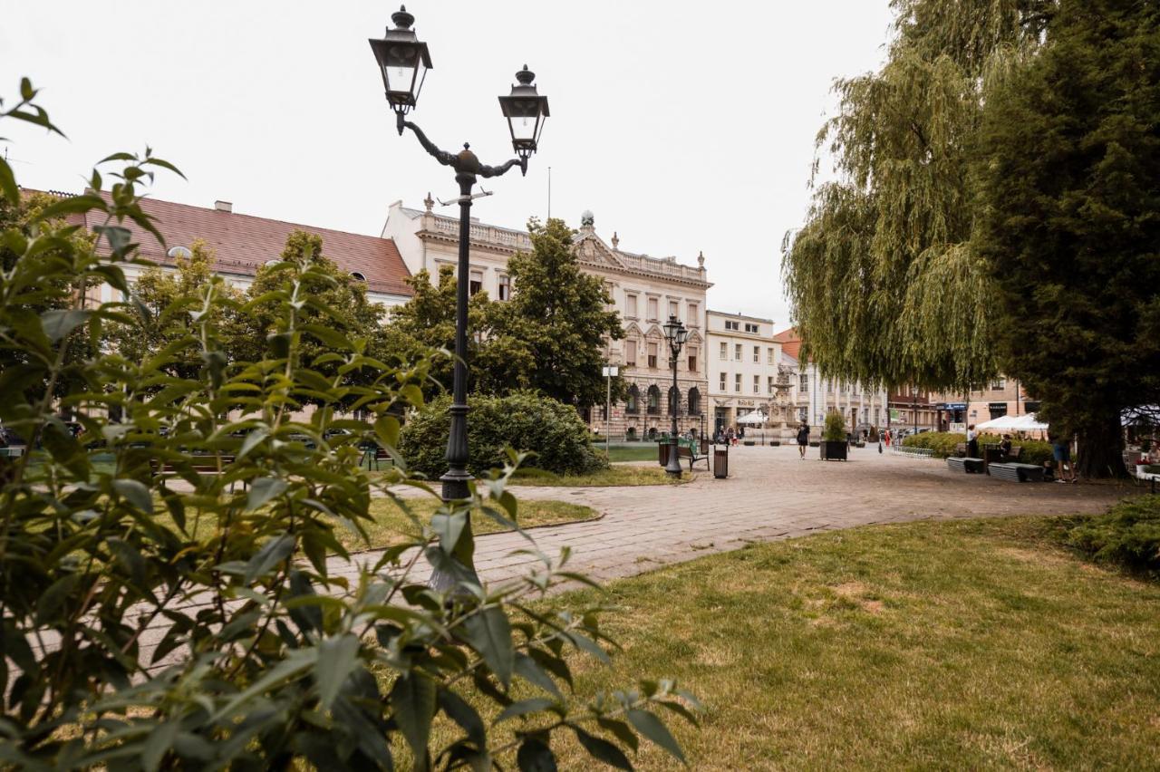 Cathedral Apartment Szczecin Exterior photo